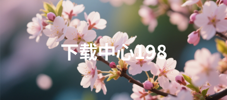 下载中心198