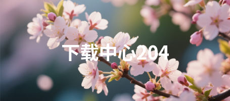 下载中心204