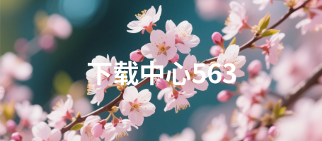 下载中心563