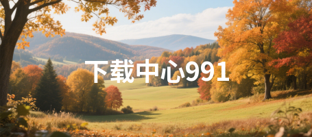 下载中心991