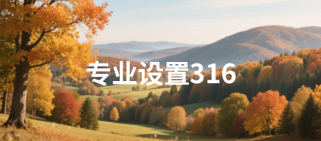 专业设置316