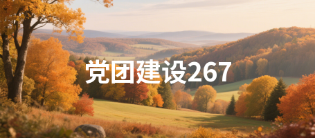 党团建设267