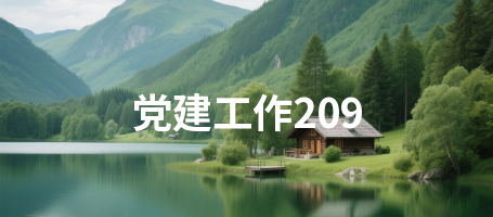 党建工作209