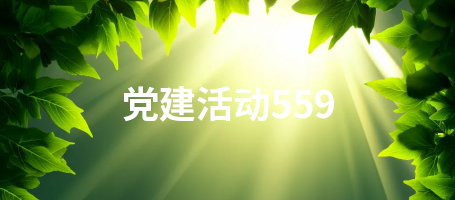 党建活动559