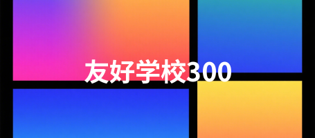 友好学校300