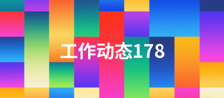 工作动态178
