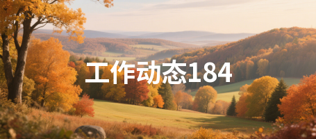 工作动态184