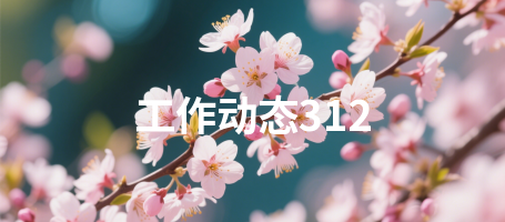 工作动态312