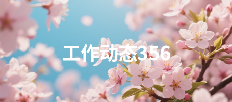 工作动态356