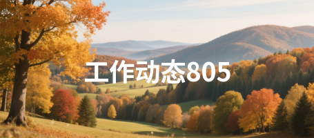 工作动态805