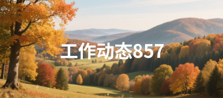 工作动态857
