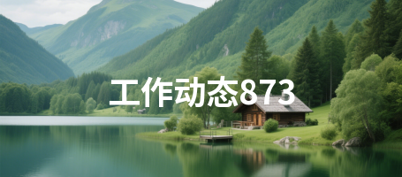 工作动态873
