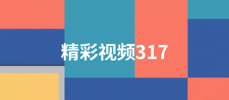 精彩视频317