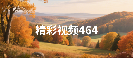 精彩视频464