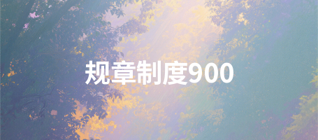 规章制度900