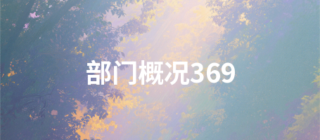 部门概况369