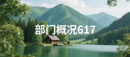 部门概况617