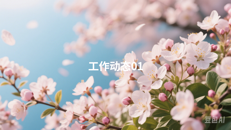 工作动态01