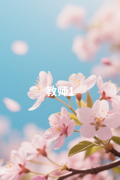 教师风采01
